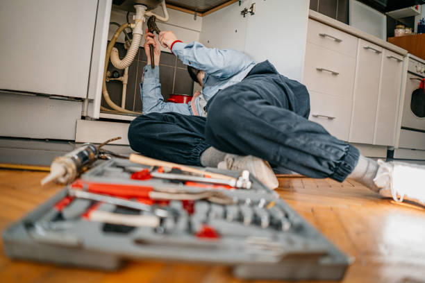 Best Local Plumber Services  in Carthage, TN